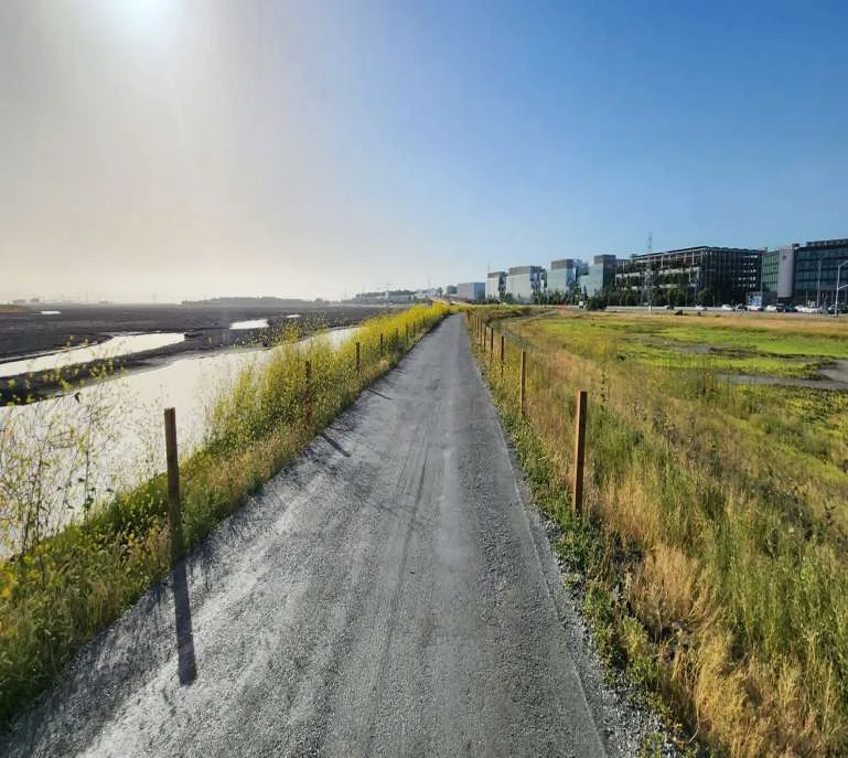After — smooth trail with bay view